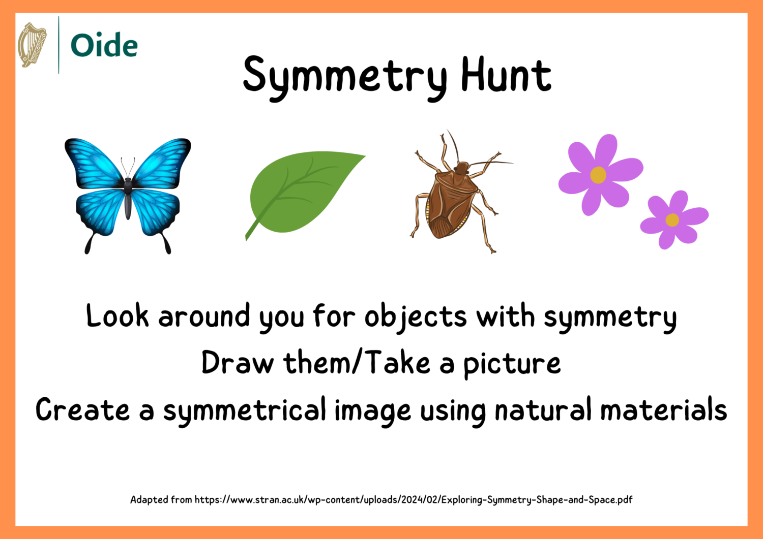 Symmetry Hunt
